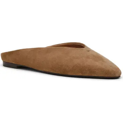 Steve Madden Sherman Mule in Tan Suede at Nordstrom, Size 9 | Nordstrom
