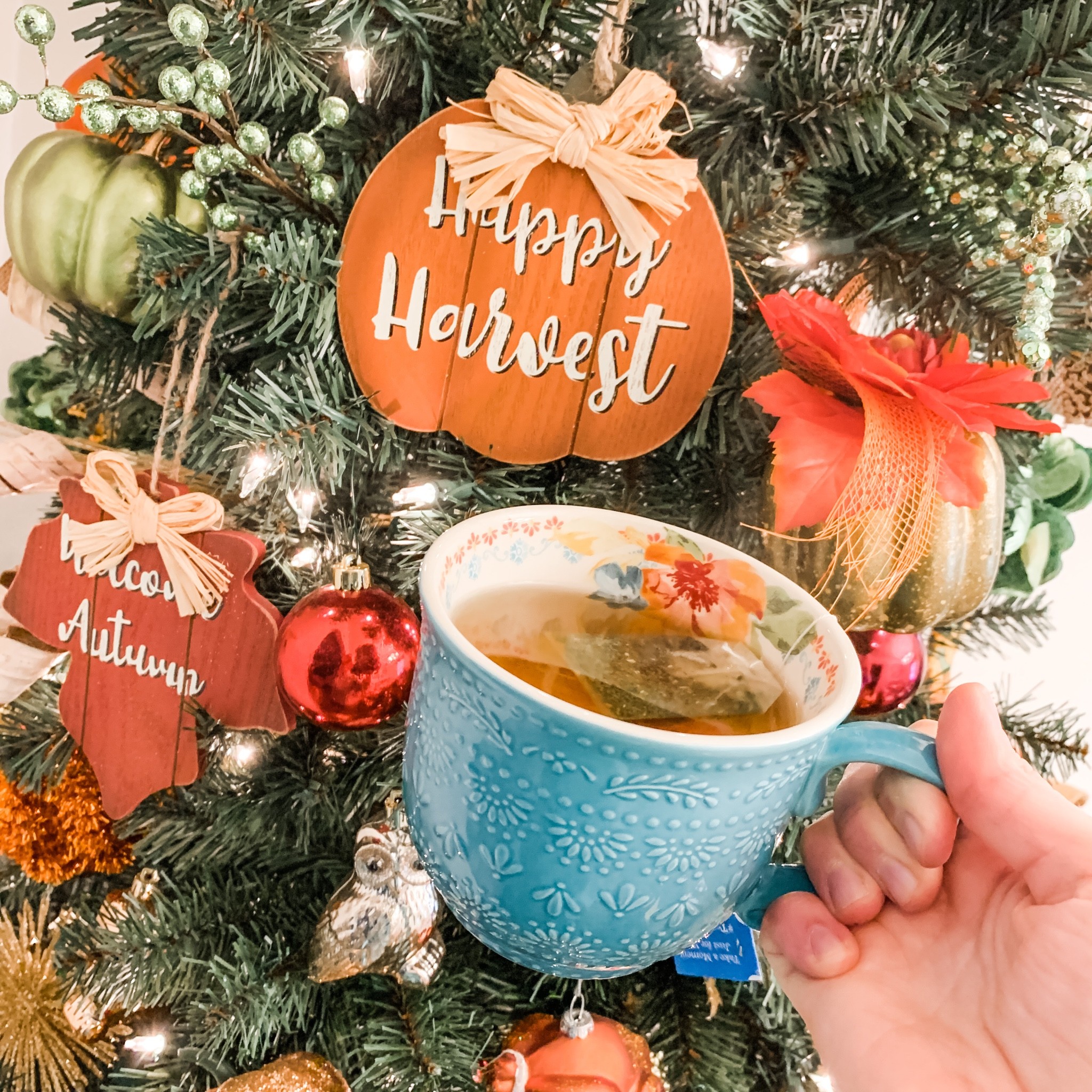 Nothing brightens up a dreary day quite like hot tea in a festive Pioneer Woman mug 🍵

#LTKSeasonal #LTKhome #LTKHoliday