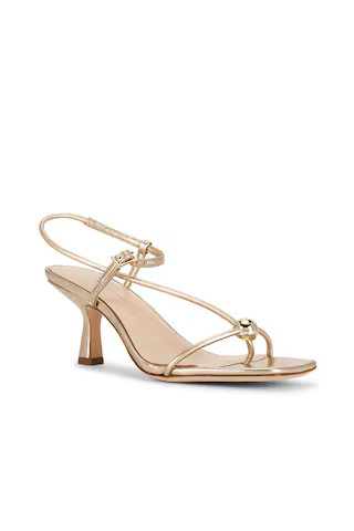 Loeffler Randall Triana Strappy Sandal in Champagne Metallic Nappa from Revolve.com | Revolve Clothing (Global)