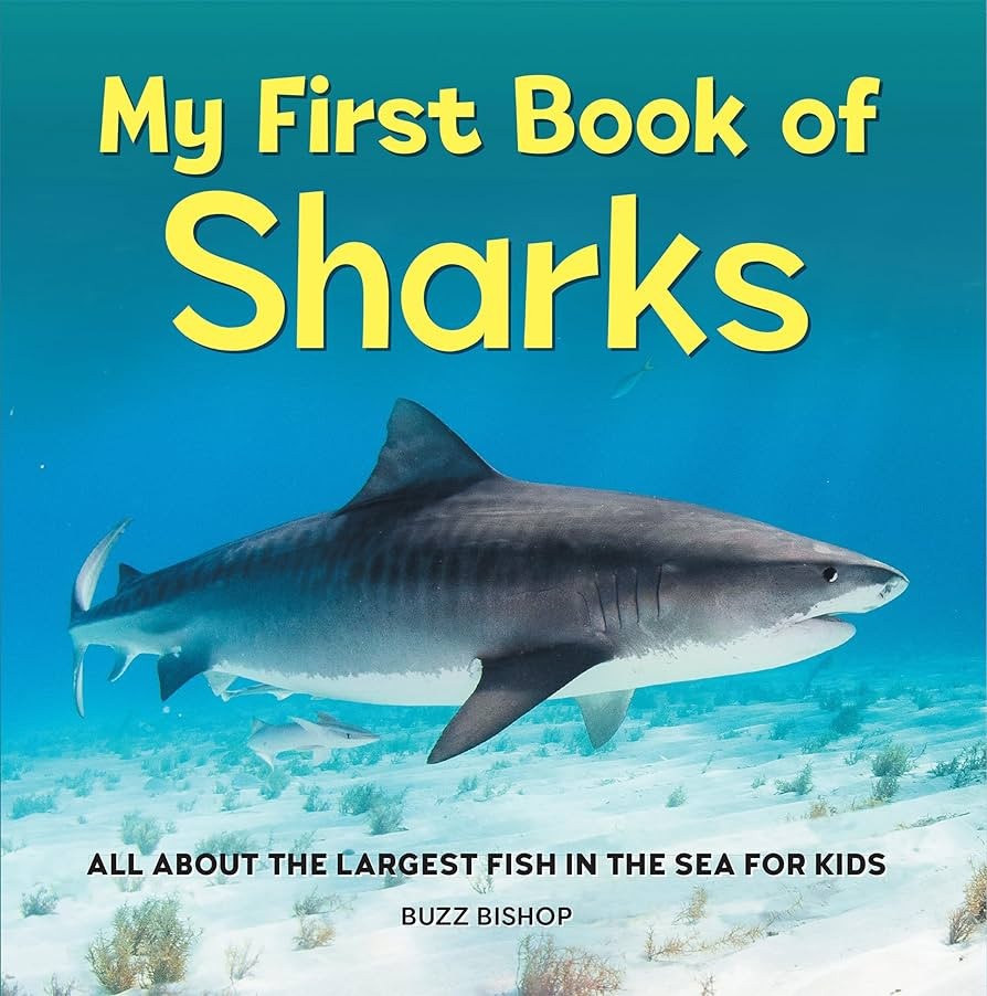 My First Book of Sharks: All About the Largest Fish in the Sea for Kids | Amazon (US)