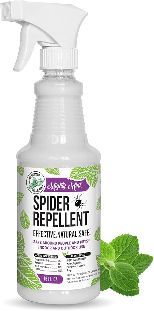 Mighty Mint Peppermint Oil Spider Repellent Spray – Indoor & Outdoor Bug Control for Spiders an... | Amazon (US)