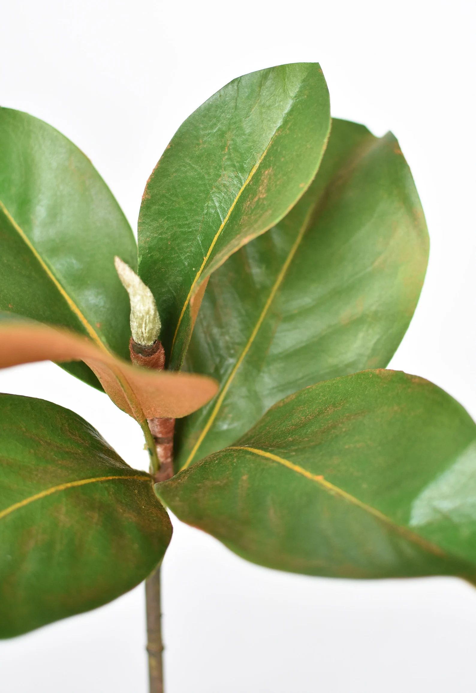 14 Faux Magnolia Leaf Pick - Etsy | Etsy (US)