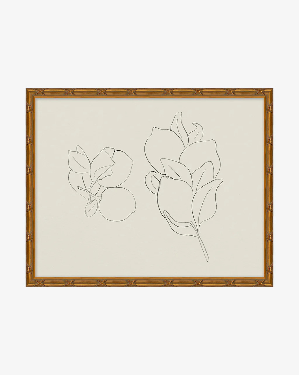 Sketched Fruit II | McGee & Co.