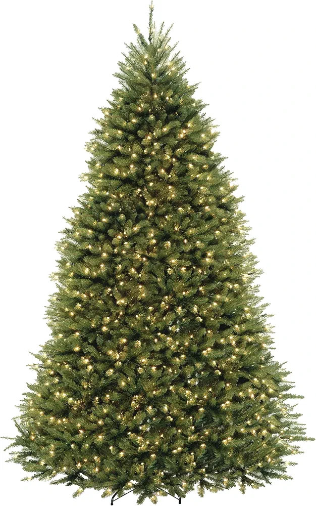 National Tree Company Dunhill Fir Artificial Tree, 9 Ft, Dual Colored Lights | Amazon (US)