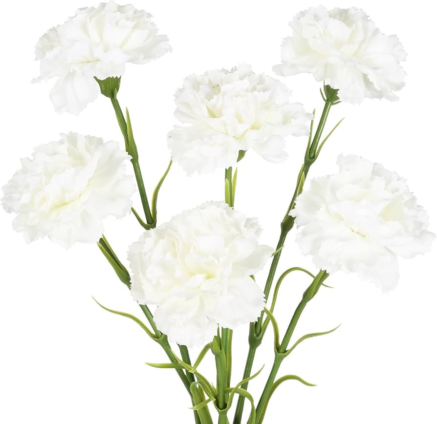 IPOPU White Carnations Artificial Flowers,6PCS Real Touch Fake Carnations 20'' Long Stem Faux Flo... | Amazon (US)