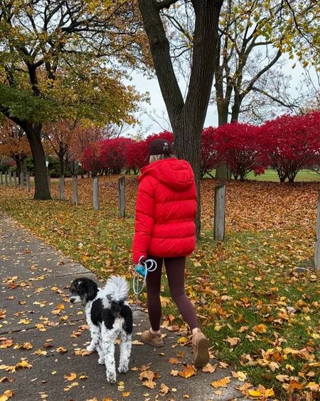 Perfect outfit for a cozy fall morning. Wear XXS in the leggings & size 4 in the coat but it’s very roomy. Wearing a small in the sweatshirt  