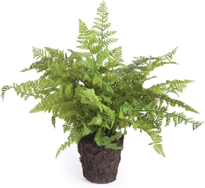 Napa CC 10.5" Soft Fern Drop-in, 13x13x10.5 Inches | Amazon (US)