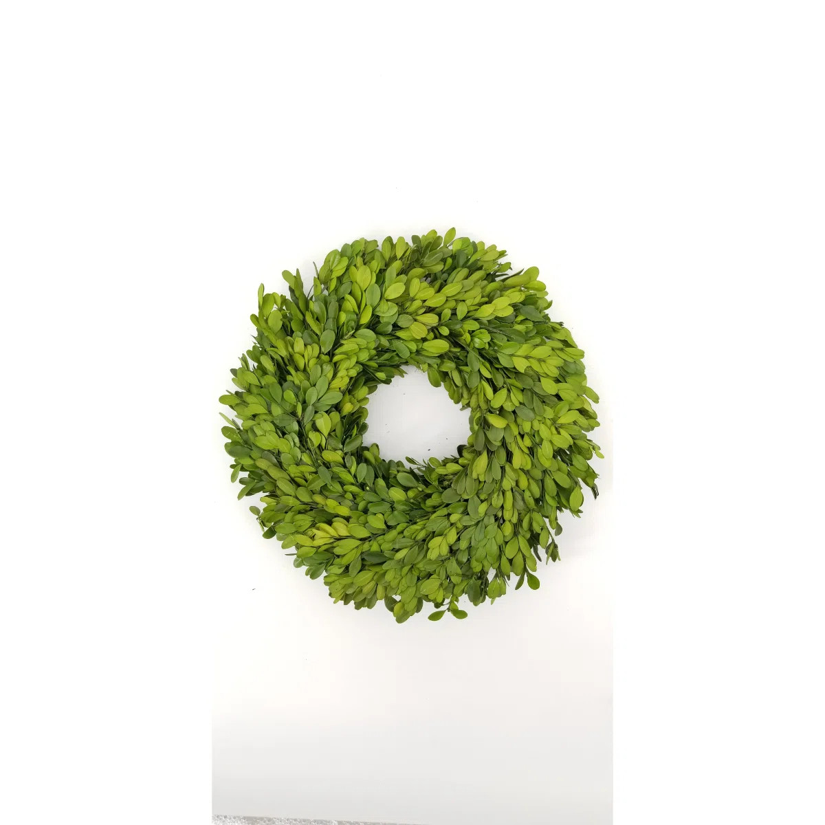 Preserved Boxwood Wreath | Wayfair North America