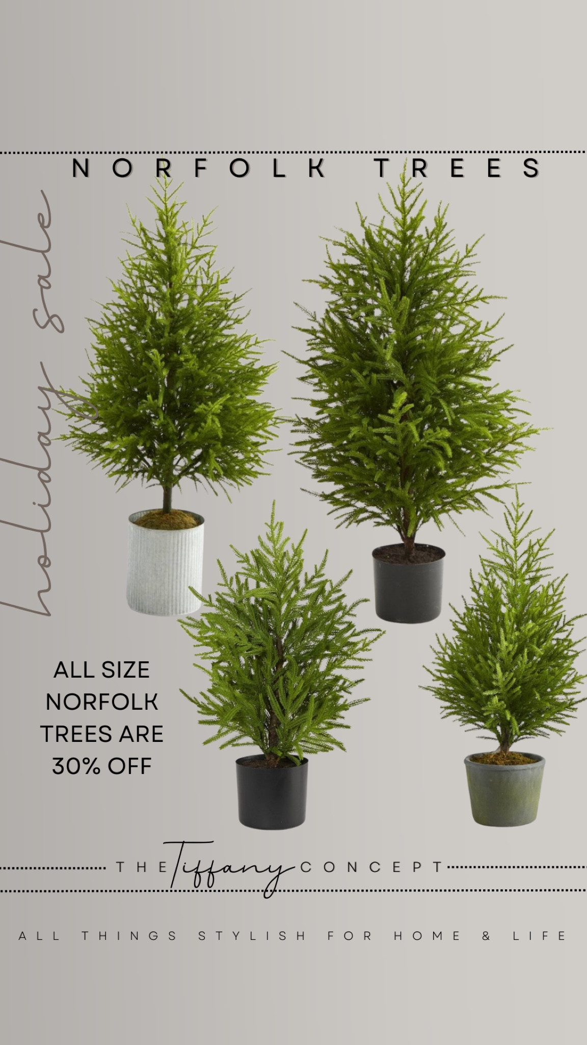 SELL OUT WARNING! These NORFOLK trees are great for indoor or outdoor and they are on sale right now at TARGET! They have any size your heart can desire and they are all 30% off!

#LTKSaleAlert #LTKHoliday #LTKSeasonal