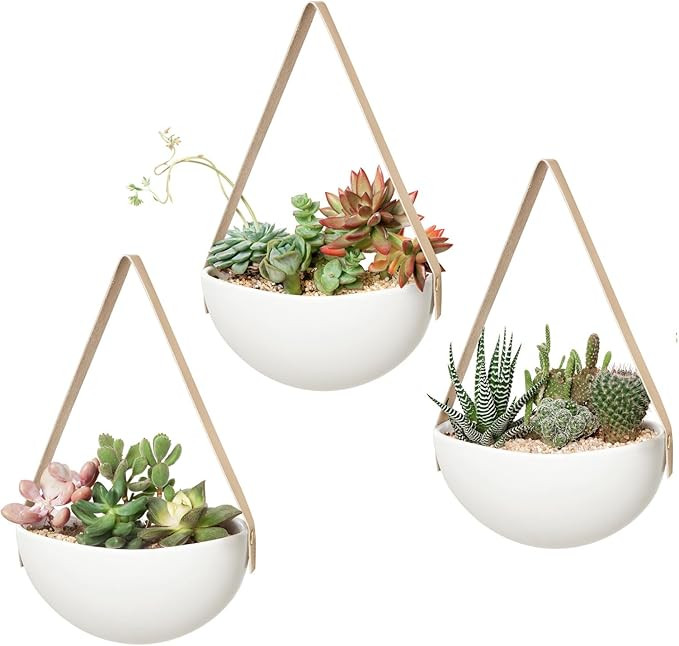 Mkono Wall Planter for Indoor Plants Ceramic Hanging Flower Pots for Succulent Air Plant Cactus B... | Amazon (US)