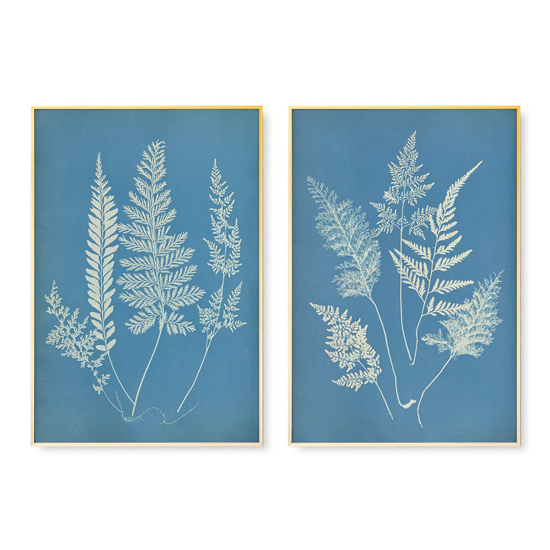 Hued Fern Pair | Fine Art Prints | Urban Garden Prints