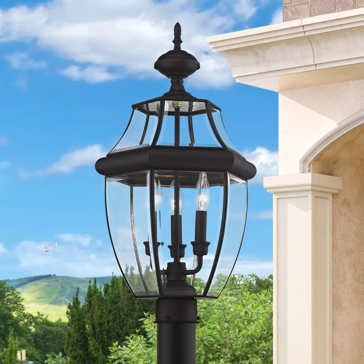 Arelene Lantern Head | Wayfair North America