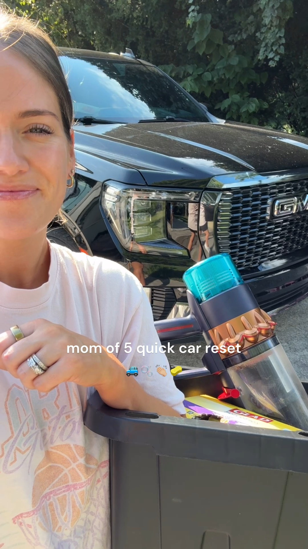 Linking my vacuum and must have interior cleaner! Nothing bettet than a good car reset!