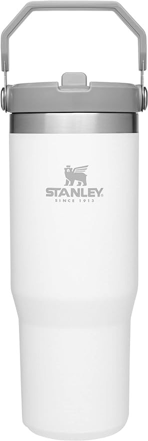 Stanley IceFlow Stainless Steel Tumbler with Straw, Vacuum Insulated Water Bottle for Home, Offic... | Amazon (US)