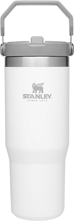 Amazon.com: Stanley IceFlow Stainless Steel Tumbler with Straw, Vacuum Insulated Water Bottle for... | Amazon (US)