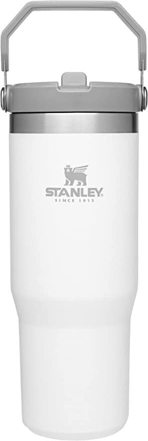 Stanley IceFlow Stainless Steel Tumbler with Straw - Vacuum Insulated Water Bottle for Home, Offi... | Amazon (US)