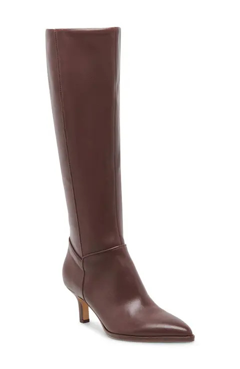 Dolce Vita Aldy Pointed Toe Knee High Boot (Women) | Nordstrom
