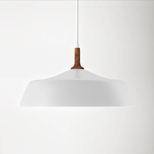 Edmar 1 - Light Single Dome Pendant with Wood Accents | Wayfair North America