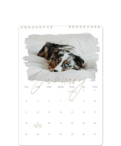 "Eclair" - Customizable Photo Calendars in Brown by Christie Garcia. | Minted