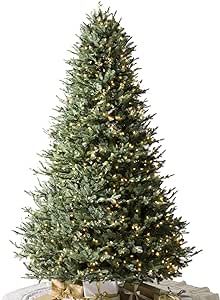Balsam Hill 7.5ft Premium Pre-Lit Artificial Christmas Tree 'Most Realistic' BH Balsam Fir with C... | Amazon (US)