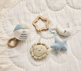 Wooden Activity Ring and Rattle Ball Set | Pottery Barn Kids