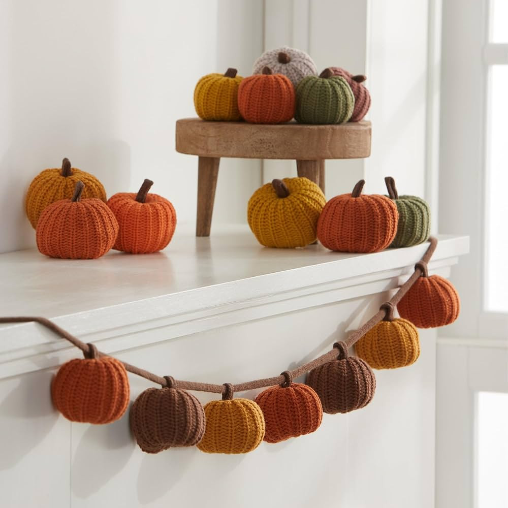 Knit pumpkin 6' garland, with 7 pumpkins, fall decor, bookshelf accent, warm cozy autumn vibe, gi... | Amazon (US)