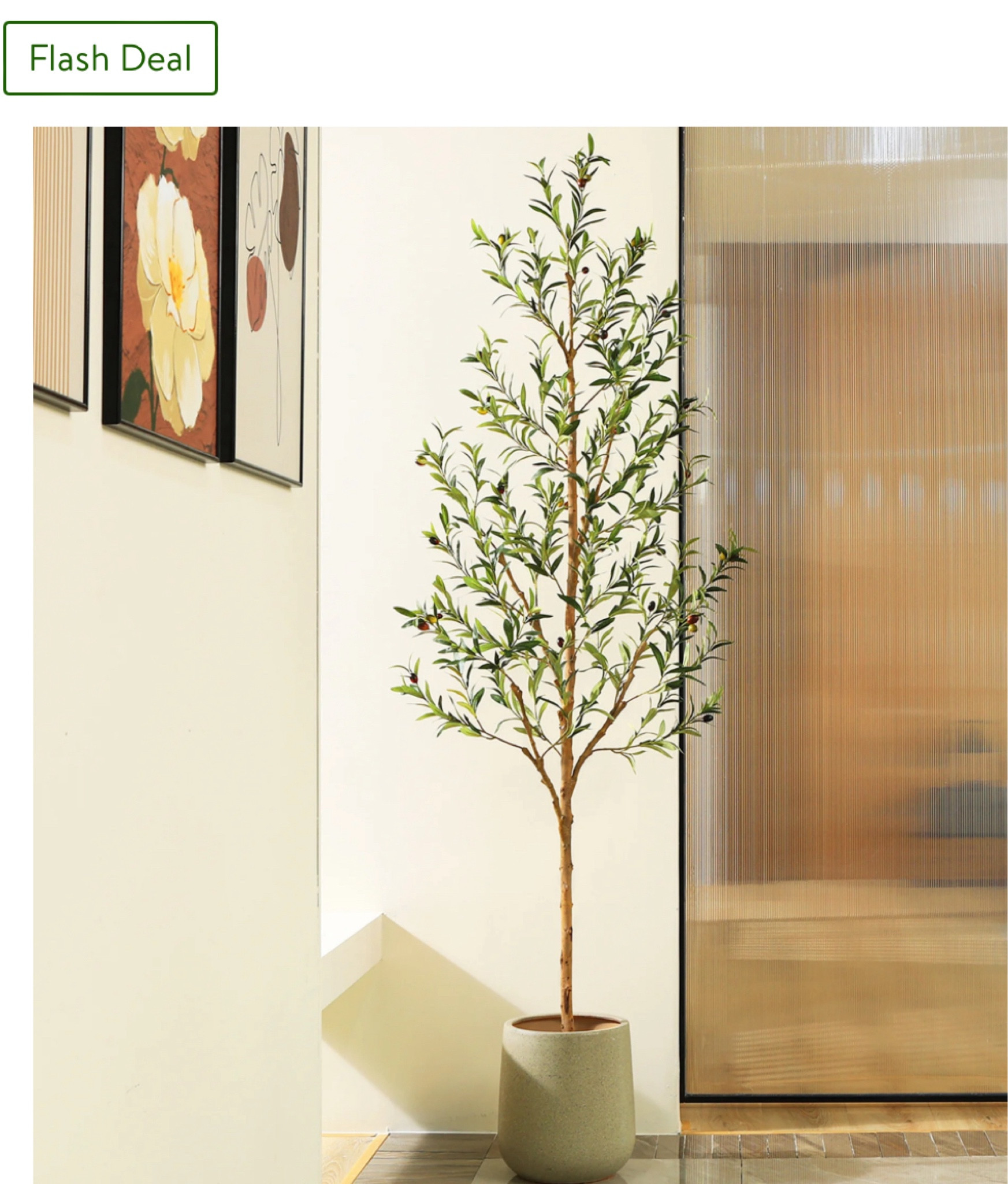 Olive tree on sale 

#LTKHome