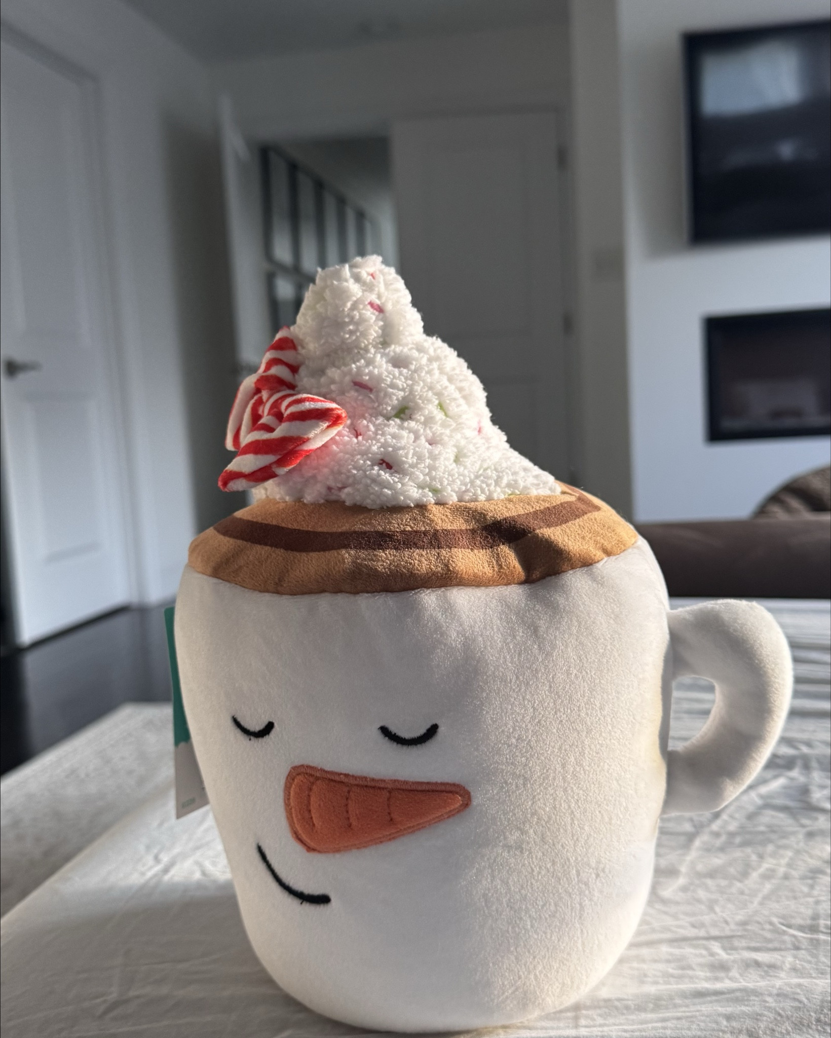 Such a beautiful mini weighted plush hot cocoa!! Gives kids a safe, soft and snug feeling for quiet time and relaxation sleep
#target
#gift idea
#Christmas pillows
#hot cocoa

#LTKSeasonal #LTKHome #LTKU