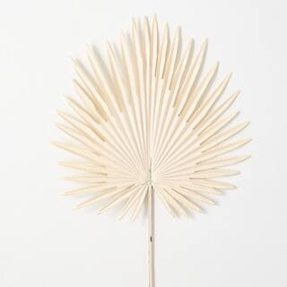 36"" Cream Fan Palm Leaf | The Home Depot