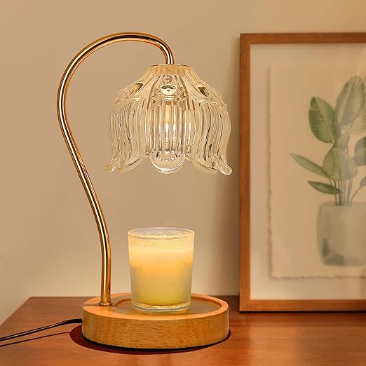 Candle Warmer Lamp,Candle Warmer lamp with Timer, Candle Warmer Light Compatible with Various Can... | Amazon (US)