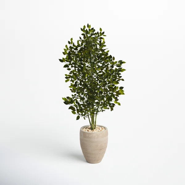 53'' Faux Ficus Tree in Earthenware Planter | Wayfair North America