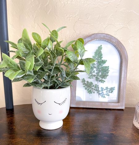 Mainstays 3" Tabletop Artificial Faux Tea Leaf Plant in Ceramic Shy Girl Pot, just under $9. 




Spring decor, affordable spring decor, Walmart decor, Walmart favorites, Walmart favs, 

#LTKhome #LTKSeasonal #LTKfindsunder50