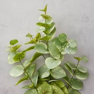 Eucalyptus Branch by Ashland® | Michaels Stores