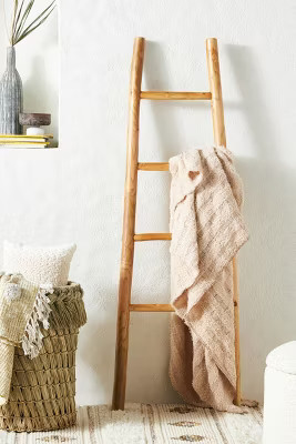 Travis Decorative Teak Ladder | Anthropologie (US)