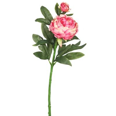 Peony Stem Flower Color: Pink | Wayfair North America
