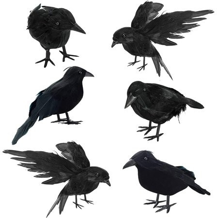 Susenc 6 Pcs Halloween Black Crows Feathered Crows Realistic Looking Ravens Large Handmade Black Crow for Halloween Decoration Party Supplies | Walmart (US)