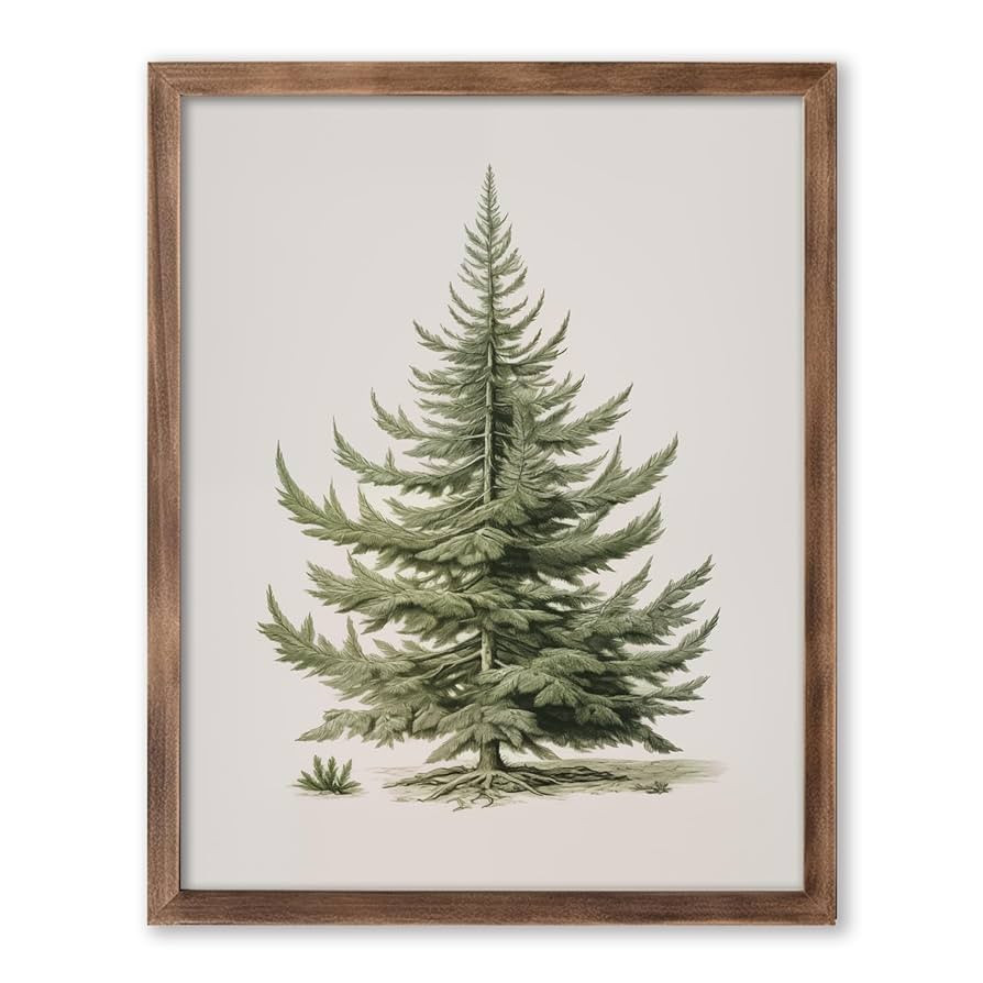 Christmas Tree Art Print, Vintage Fir Botanical Sketch, Christmas Tree Painting Print, Pine Tree ... | Amazon (US)