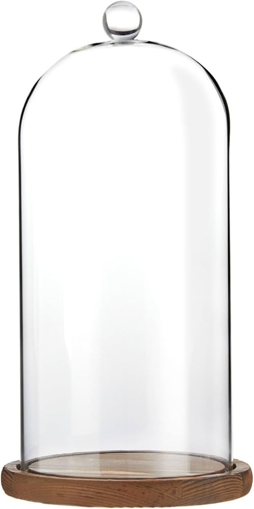 Farmlyn Creek Glass Cloche Dome Bell Jar Display Case with Wooden Base for Plants, Collectibles (... | Amazon (US)