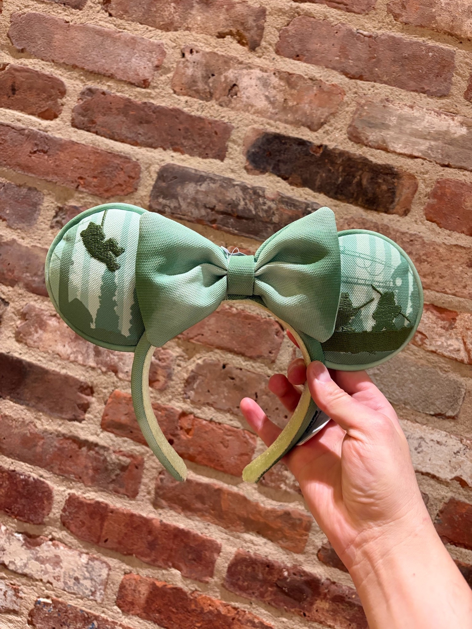 Star Wars Ewok Endor ears!

#LTKootd #LTKSeasonal #LTKTravel