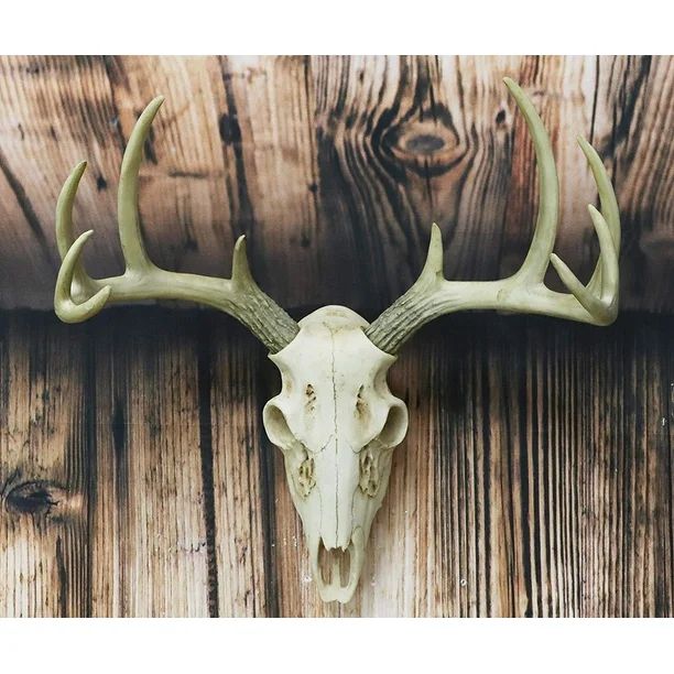 Ebros Gift Rustic Hunter Deer 10 Point Buck Skull Trophy Antlers Wall Mounted Plaque Trophy Decor... | Walmart (US)