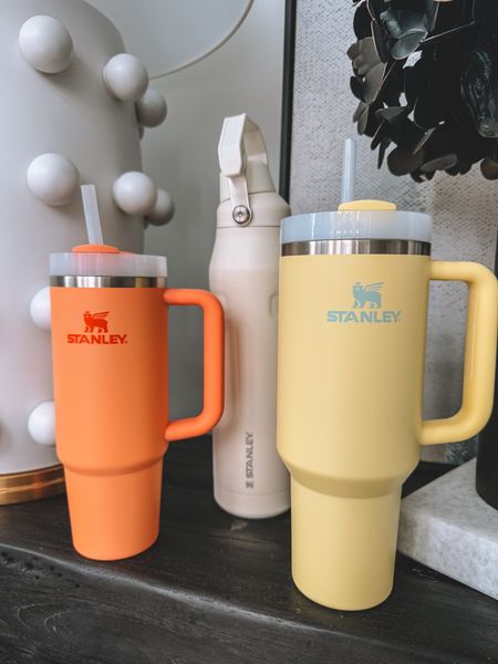 @stanley_brand Quencher & Ice Flow bottles are my family’s “go to” for staying hydrated all day long! #stanleypartner At school, sports, working out, or running errands… @stanley_brand has got us covered. 