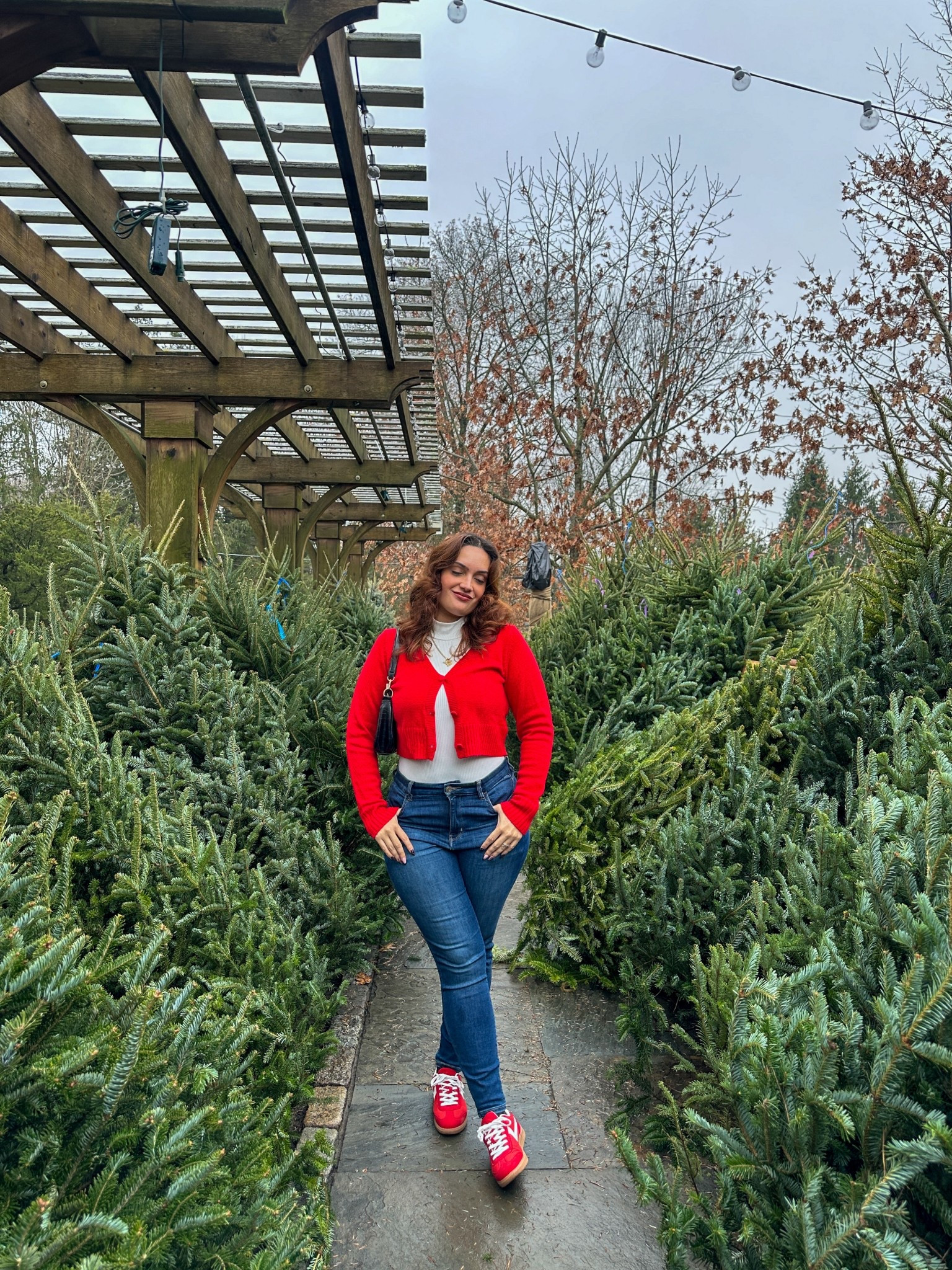 Winter fashion, winter style, winter outfits, winter outfit ideas, winter outfit Inspo, minimal style, everyday outfit, effortless style, casual style, casual outfits, midsize fashion, midsize style, American Eagle jeans, dark wash denim, dark blue jeans, red sneakers, Amazon fashion, Amazon fashion finds, red cardigans, shein style, shein outfits, affordable fashion, holiday season, Christmas tree farm, simple fits, Christmas time. 

#LTKFindsUnder100 #LTKootd #LTKMidsize