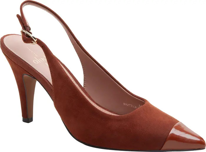Linea Paolo Niyka Pointed Toe Slingback Pump (Women) | Nordstrom | Nordstrom