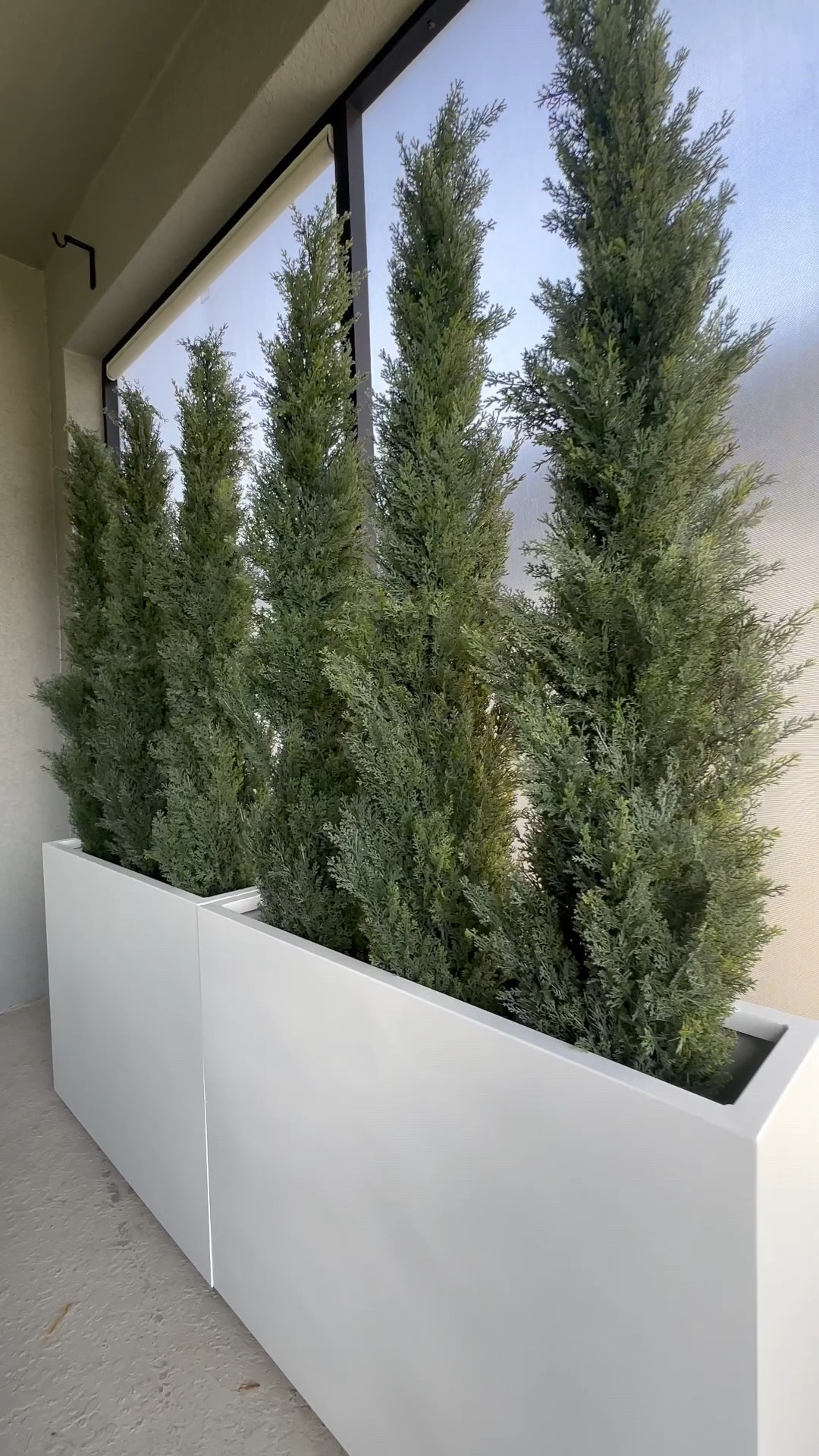 These privacy box planters instantly elevate your outdoor space! 

Patio
Outdoor patio 
Home
Home decor 
Viral privacy box planters 
Viral planters
Amazon home
Faux plants 
Spring decor
Summer decor 
Outdoor decor 
Patio set 

#LTKSaleAlert #LTKWatchNow #LTKHome