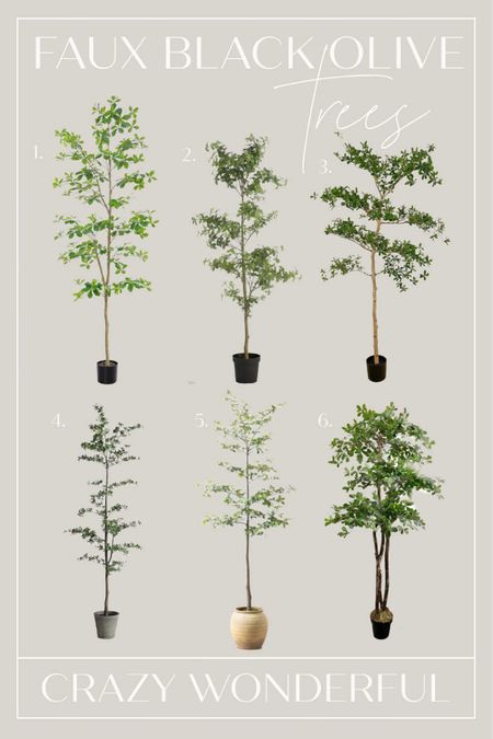 Rounded up some faux Black Olive trees and similar trees for you to check out in a range of prices starting at $79.99



#LTKfindsunder100 #LTKhome