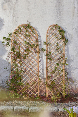 Rounded Top Willow Trellis | Terrain