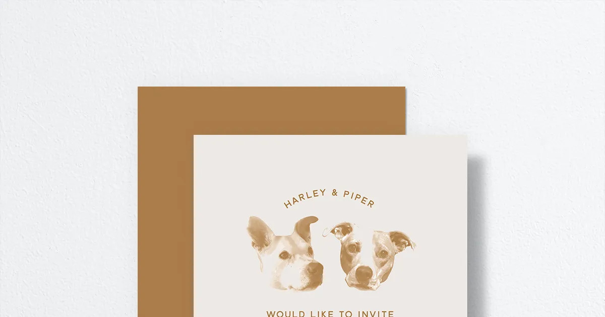 Custom Pet Portrait Wedding Invitations | The Knot 
