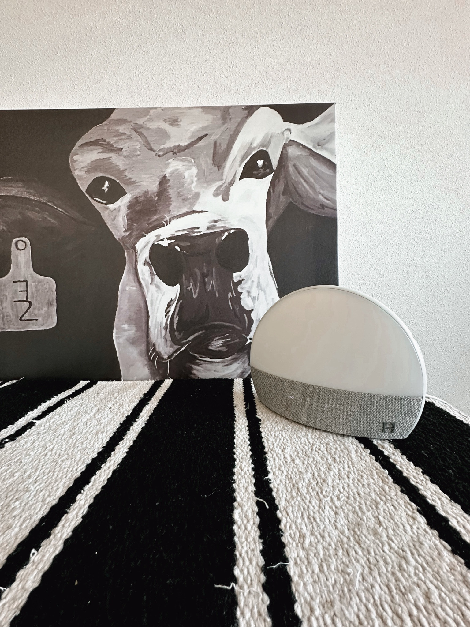 Hatch sound machines are a game changer for everyone’s sleep quality! Each room in our home has a Hatch sound machine, significantly improving our sleep. We love the brand so much that we even got the portable version for the diaper bag, perfect for on-the-go naps.

Hatch sound machine // portable sound machine // diaper bag essentials // baby registry// gift guide // on the go sleep // best sleep ever // travel friendly // baby essentials 

#LTKBaby #LTKFamily #LTKHome