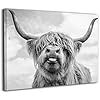 Canvas Print Wall Art Black and White Freedom Highland Cow Pictures Painting for Living Room Bedr... | Amazon (US)