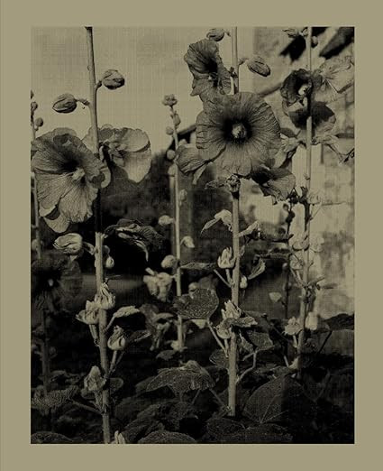 Nicholas Nixon: Closing the Distance      Hardcover – March 8, 2022 | Amazon (US)